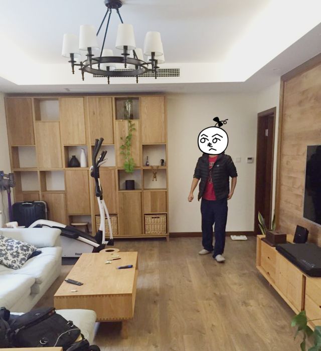 原木北欧客厅1